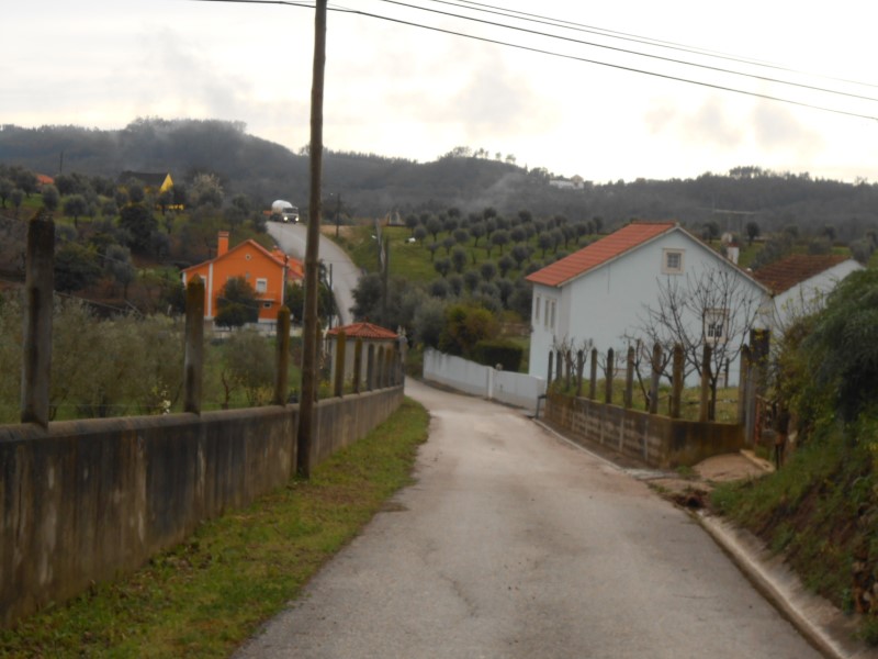 gontijas14
