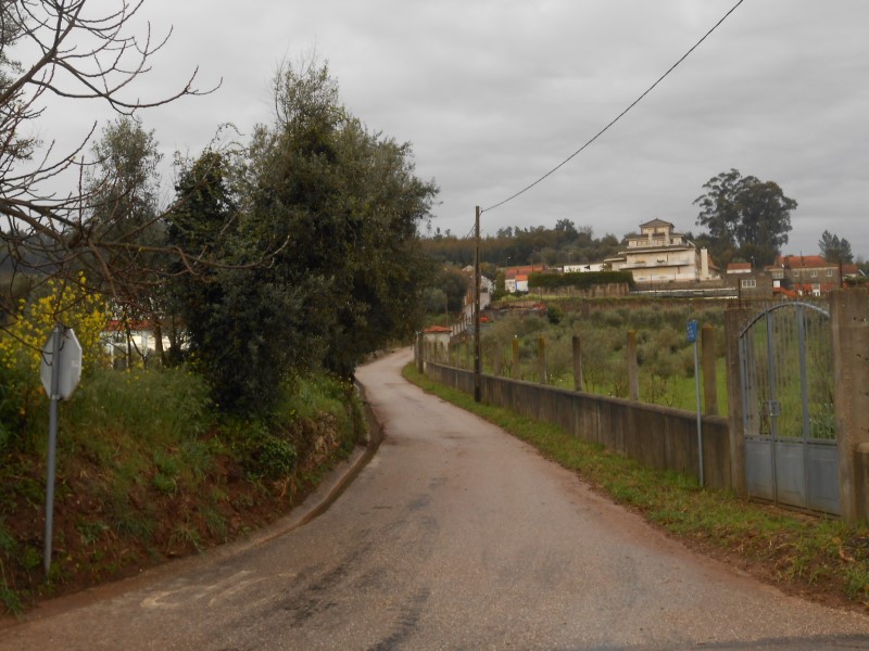 gontijas15