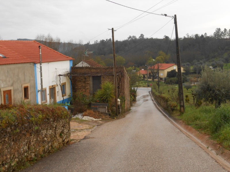 gontijas17