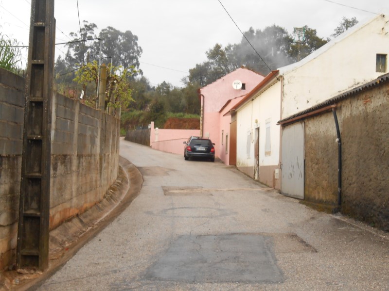 gontijas18