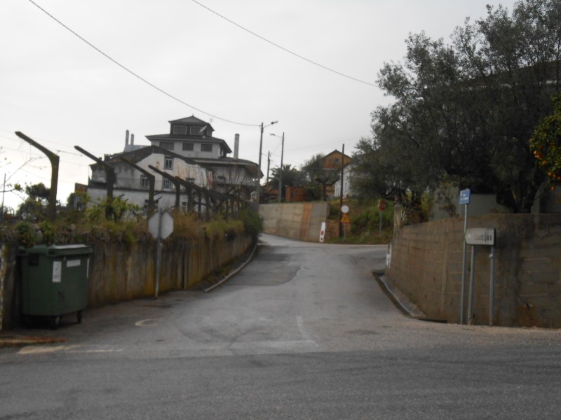 gontijas19