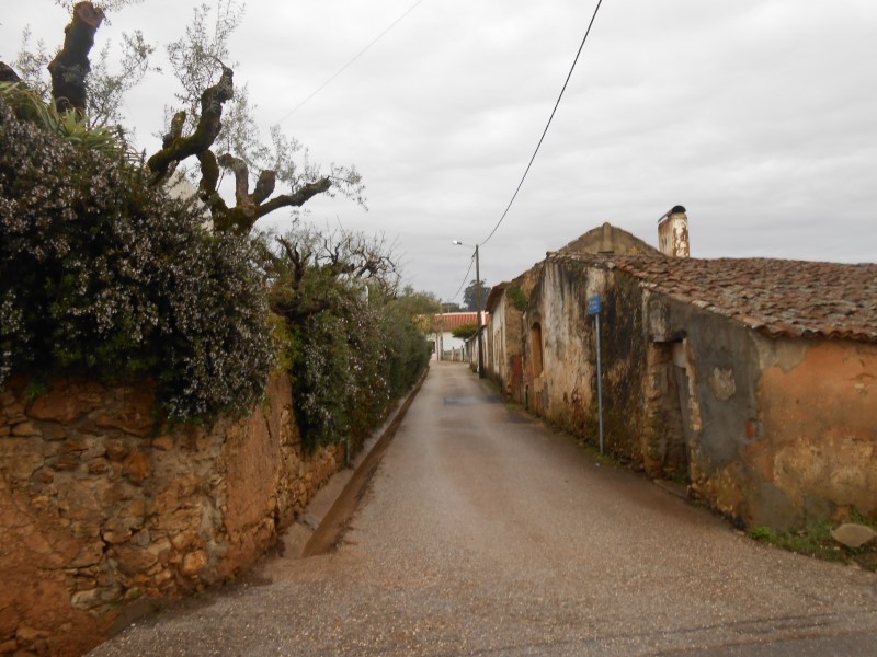gontijas2