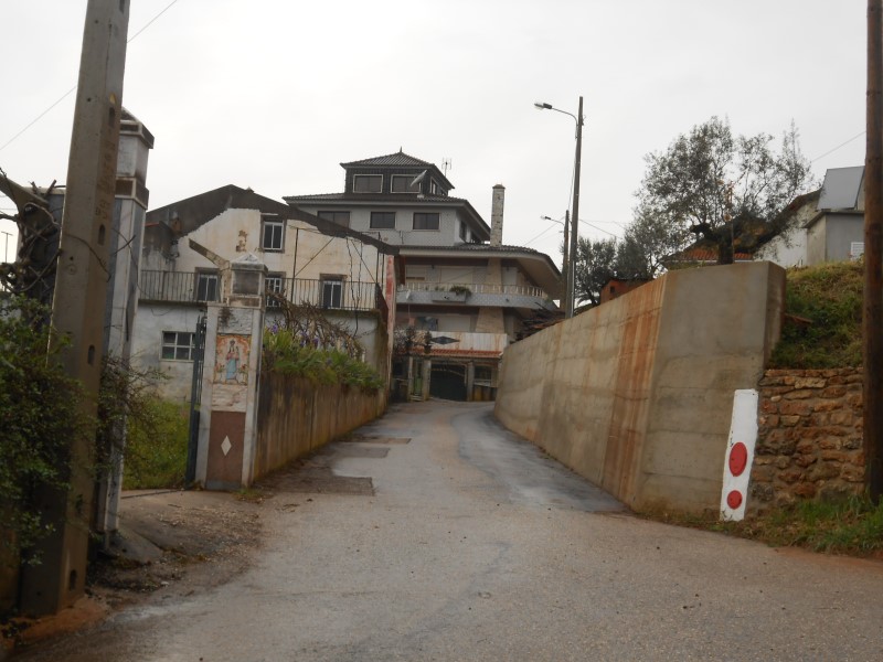 gontijas20