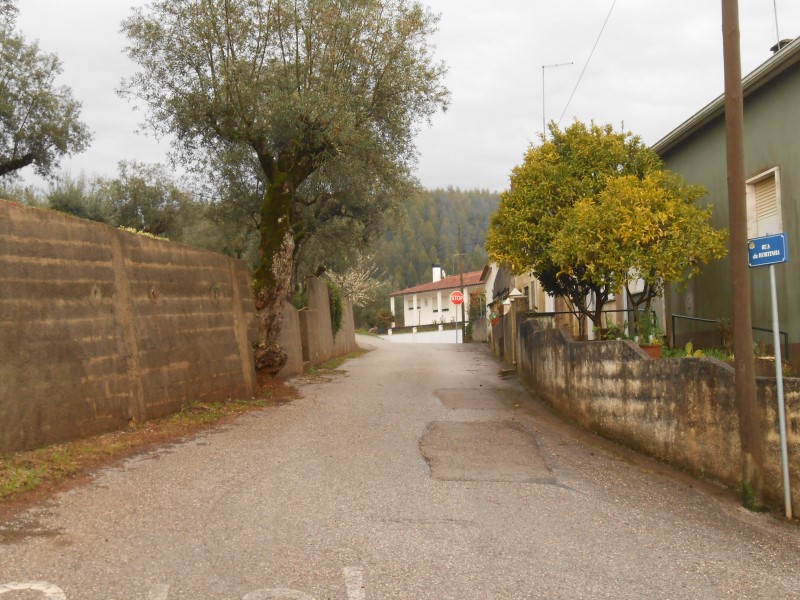 gontijas21