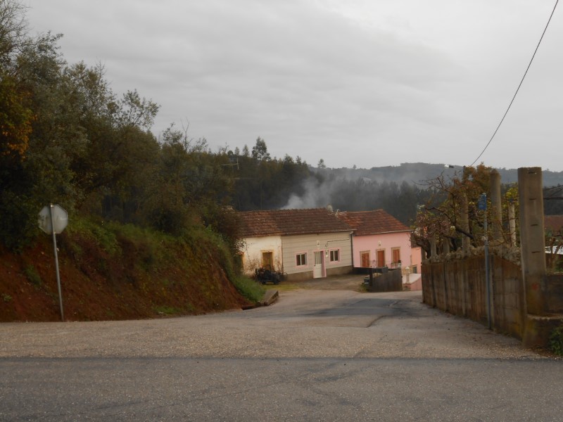 gontijas22