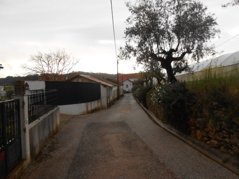 gontijas3