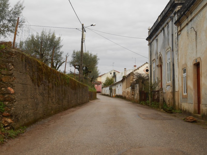 gontijas6