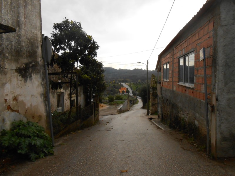 gontijas7