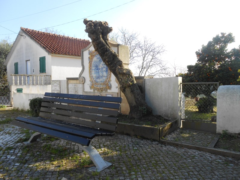 podaarvores8