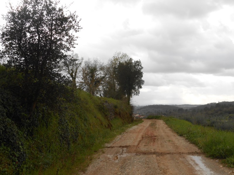 rboraria10