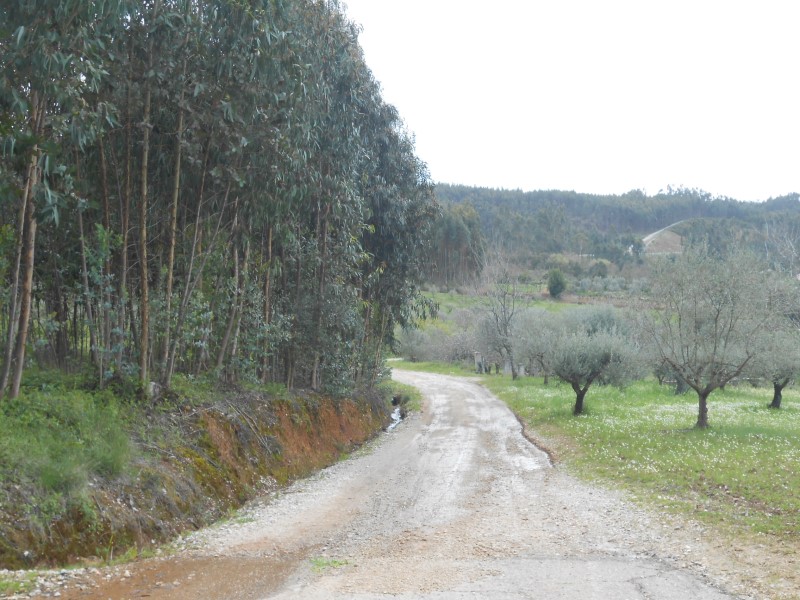 rboraria12