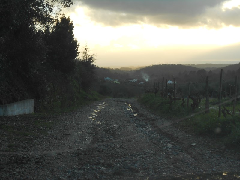 rboraria13
