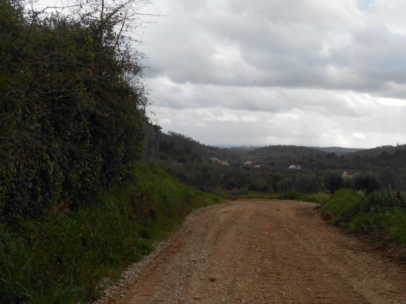rboraria2