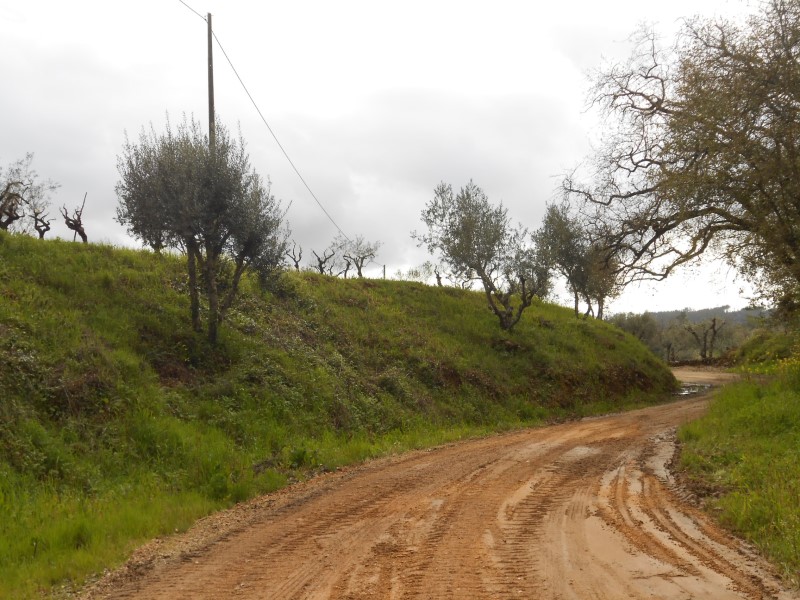 rboraria8