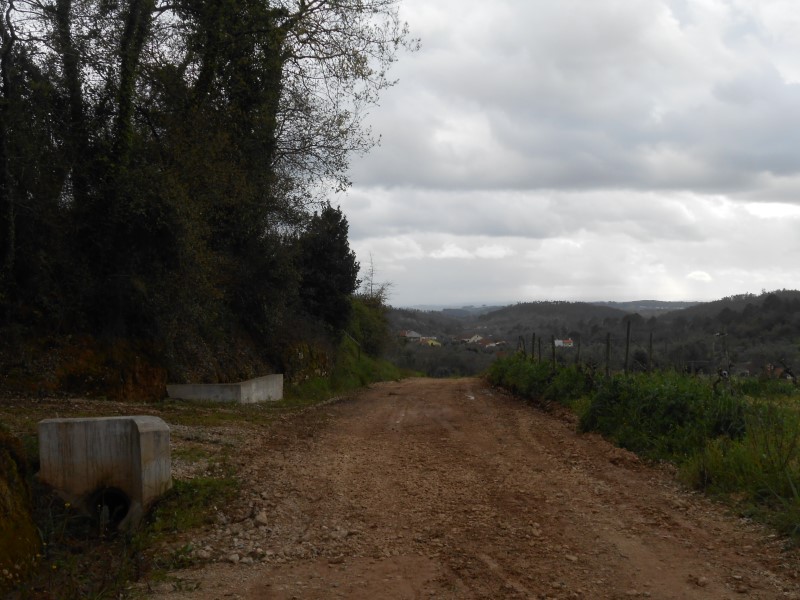 rboraria9