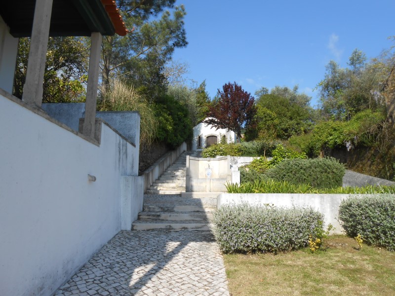 csantonio3