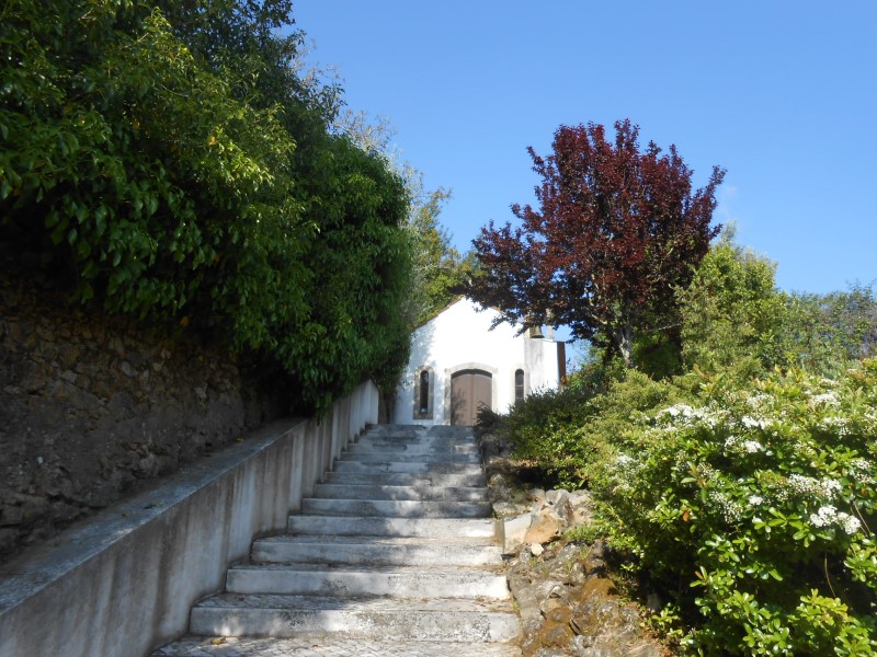csantonio4
