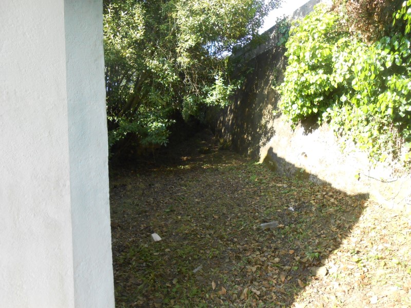 csantonio6