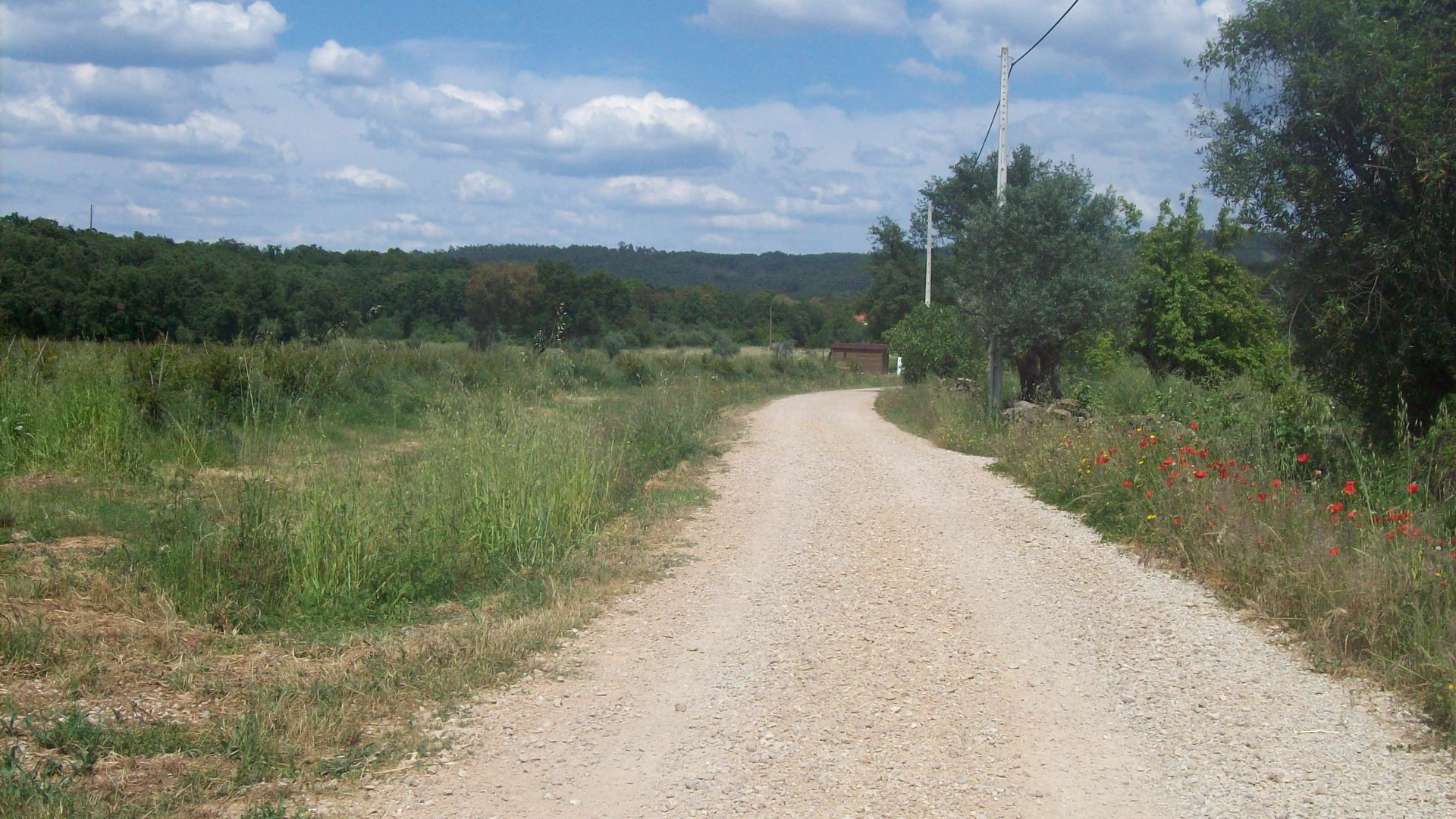rcgaiao4