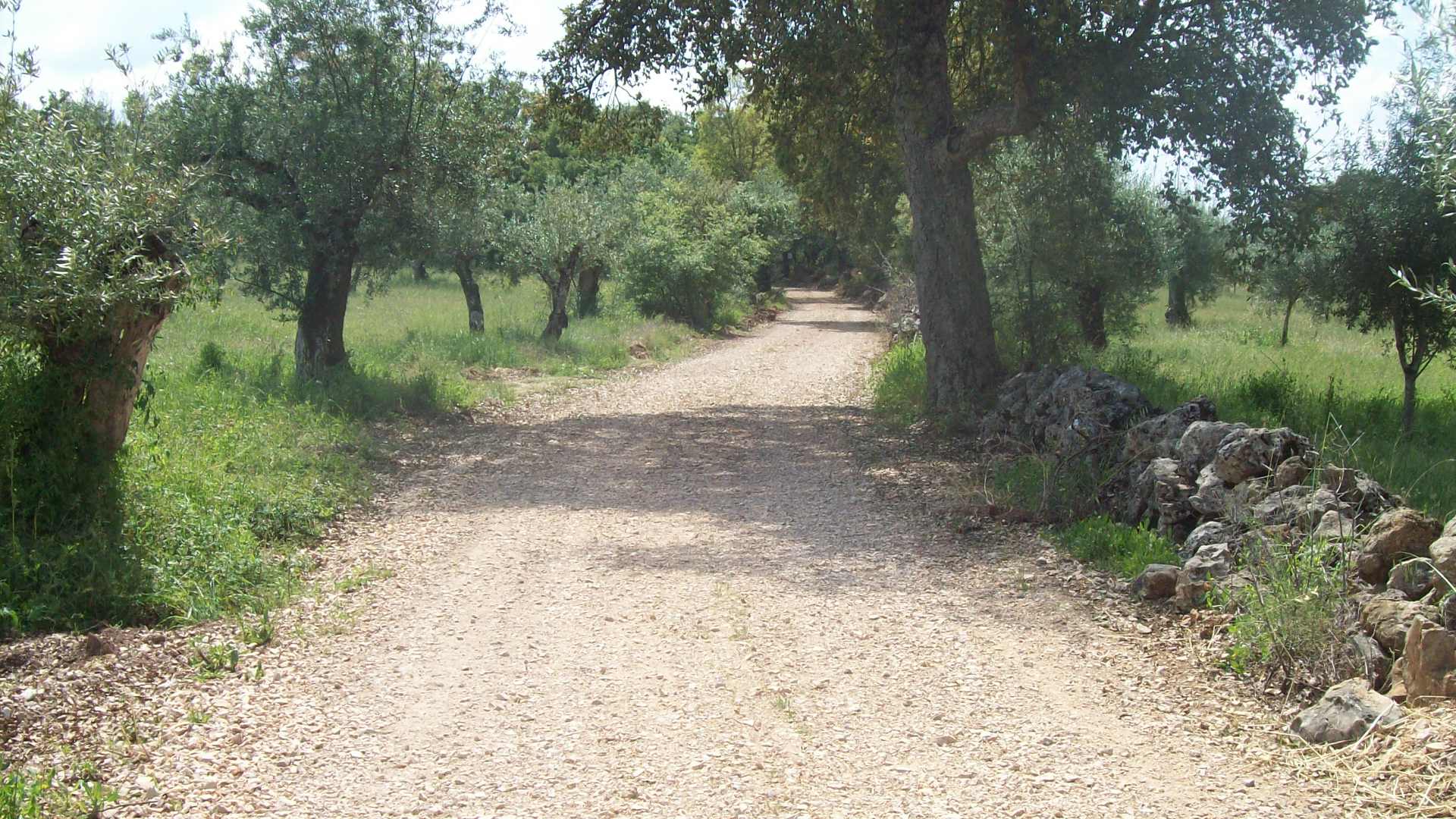 rermeiro9