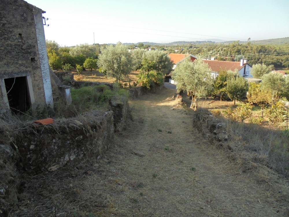 pvverde.2
