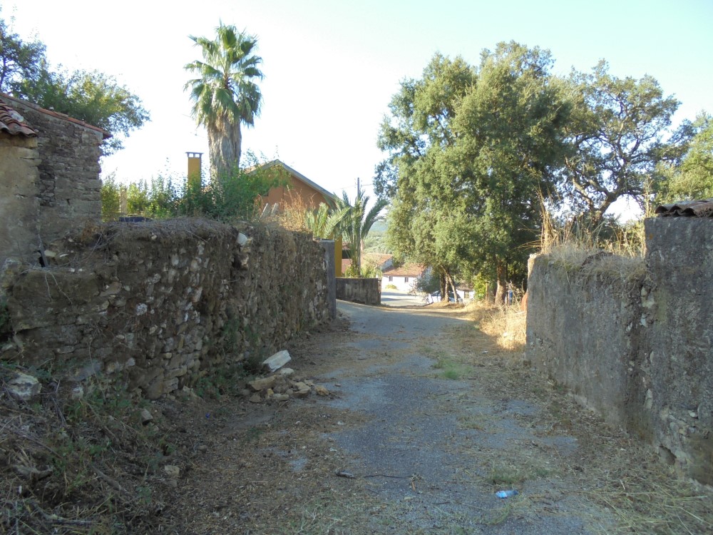 pvverde10