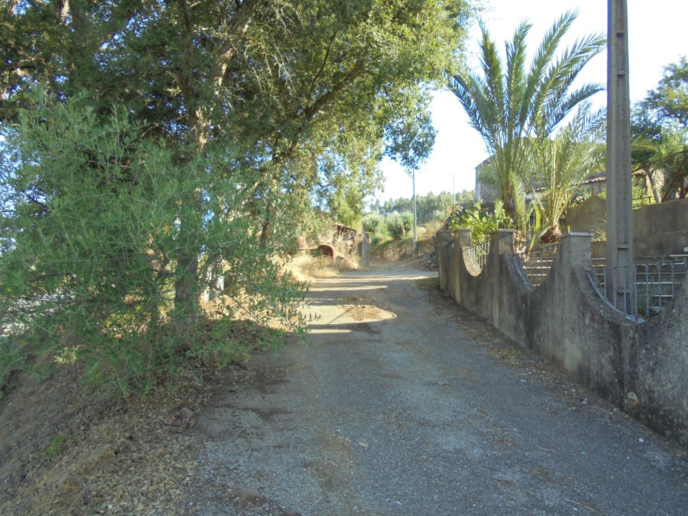 pvverde6