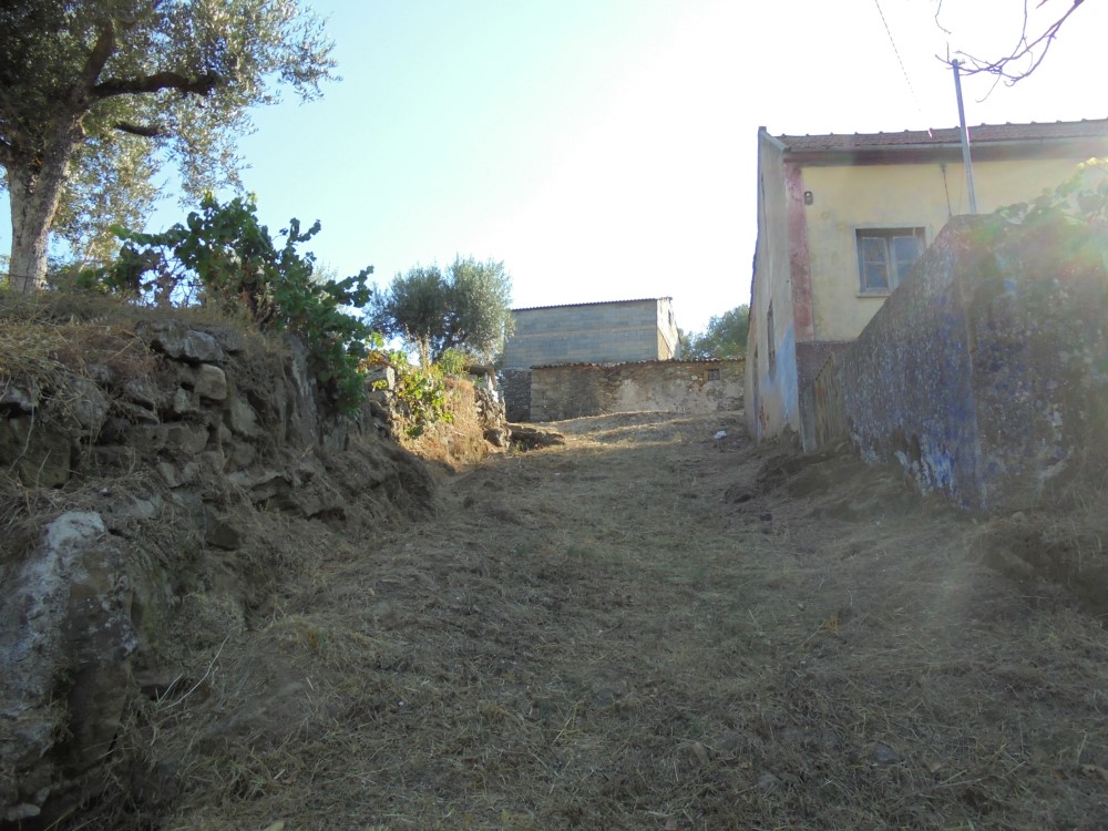 rqcostas2