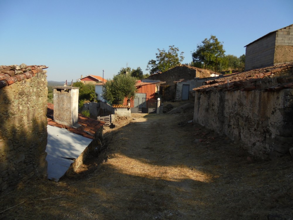 rqcostas5