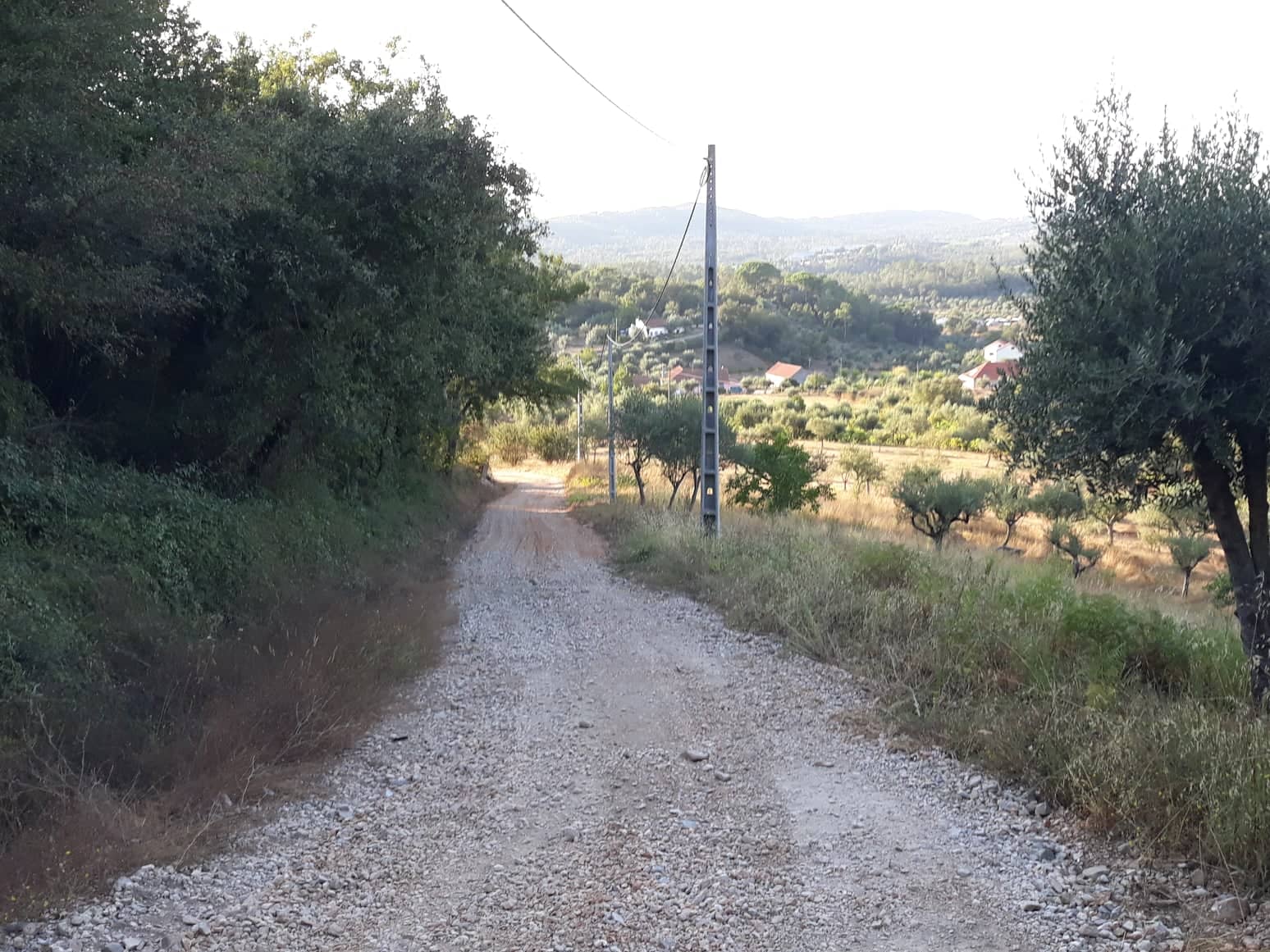 rvveias7