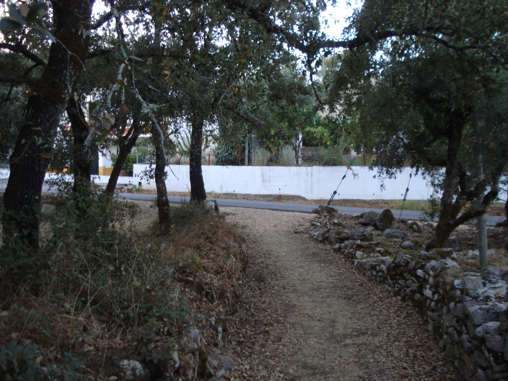 carreiros11