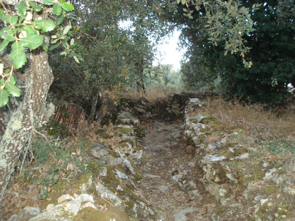 carreiros12