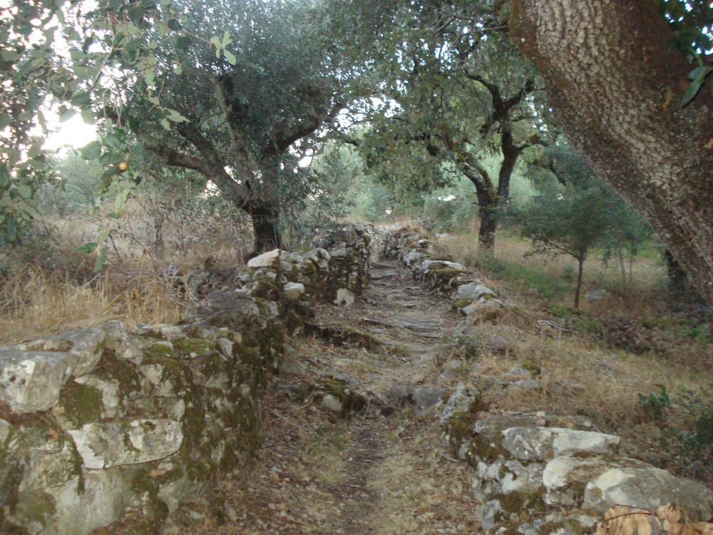 carreiros13
