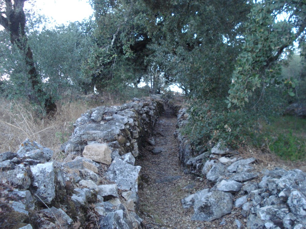 carreiros14