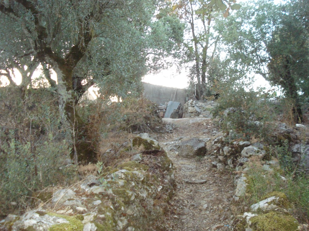 carreiros15