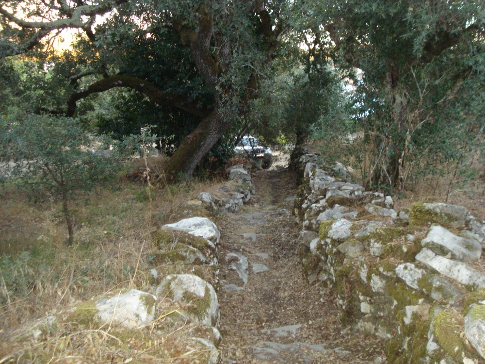 carreiros18