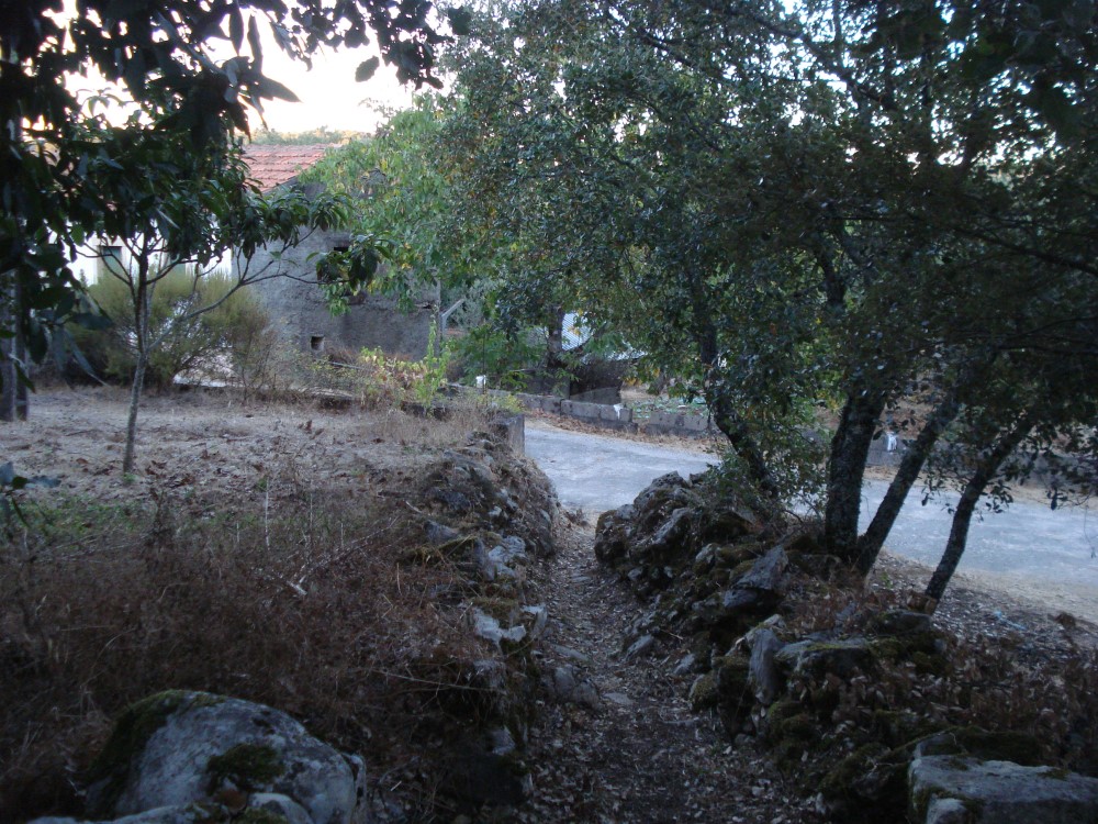 carreiros19