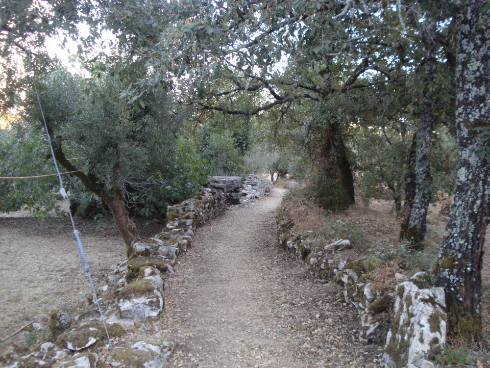 carreiros2