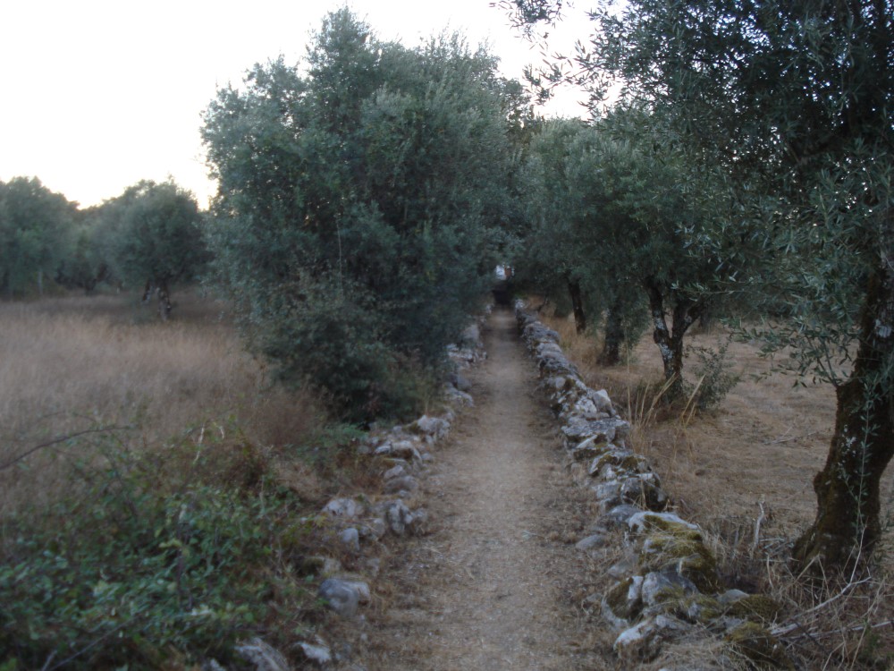 carreiros4
