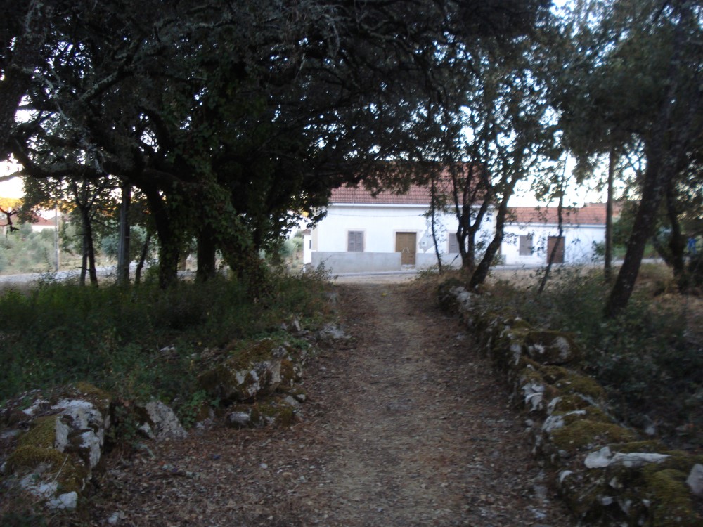 carreiros6