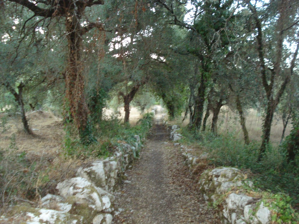 carreiros7