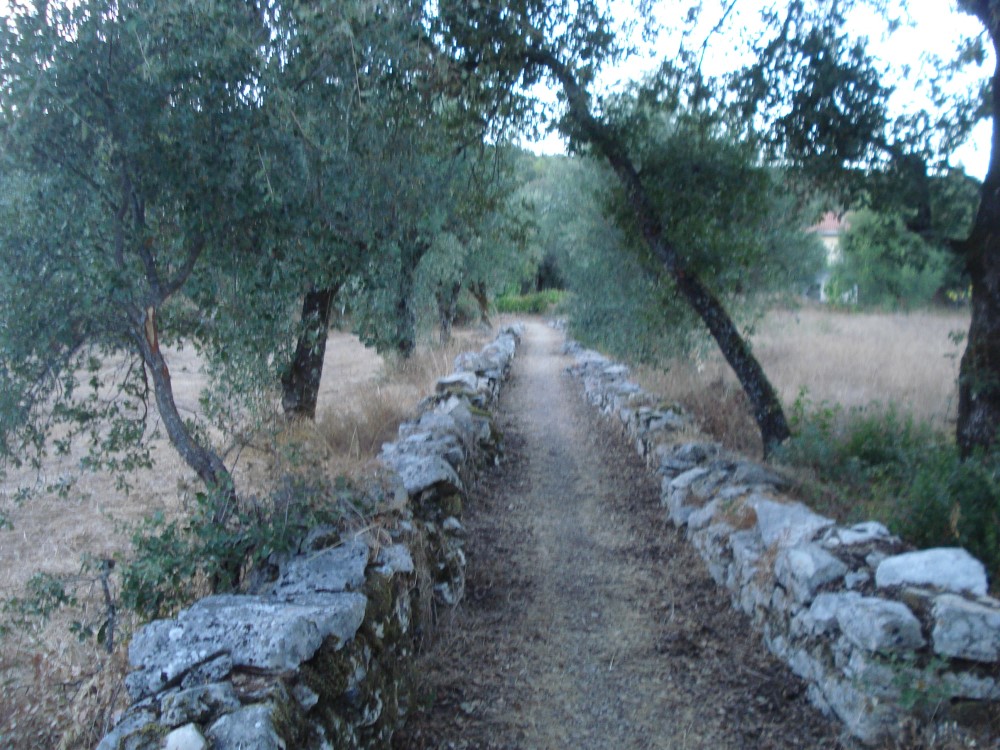 carreiros8