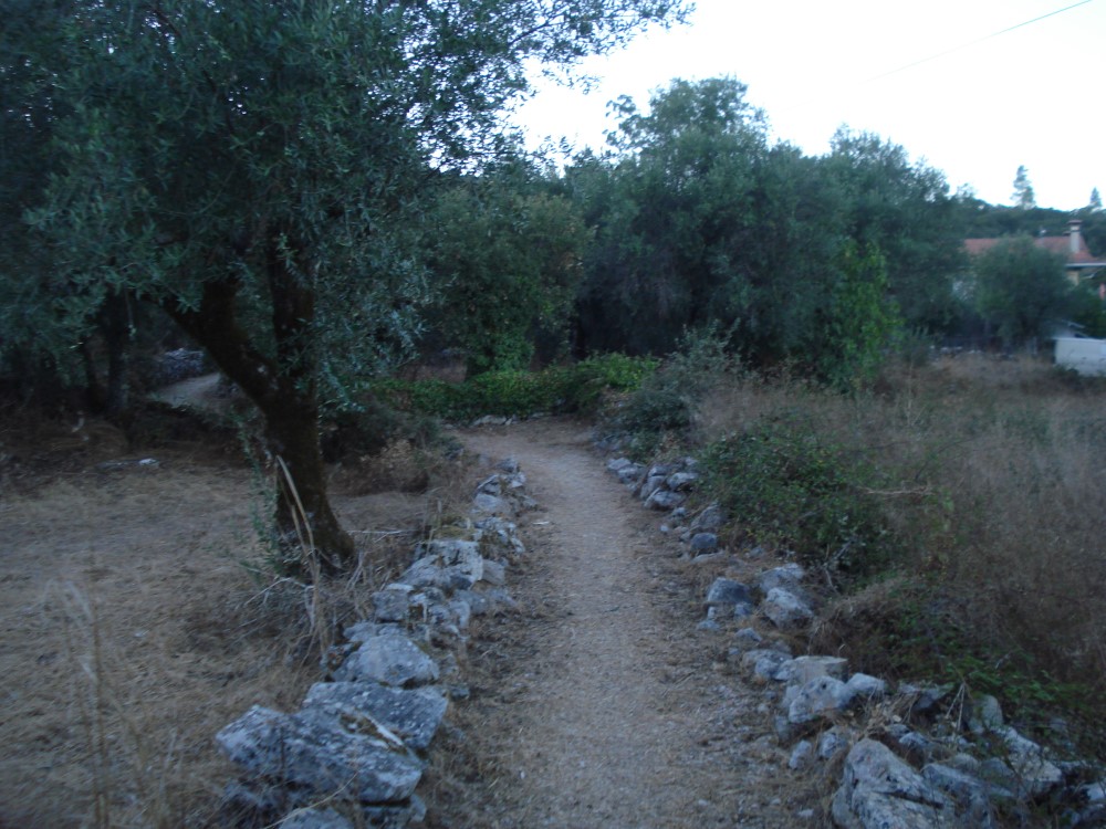 carreiros9