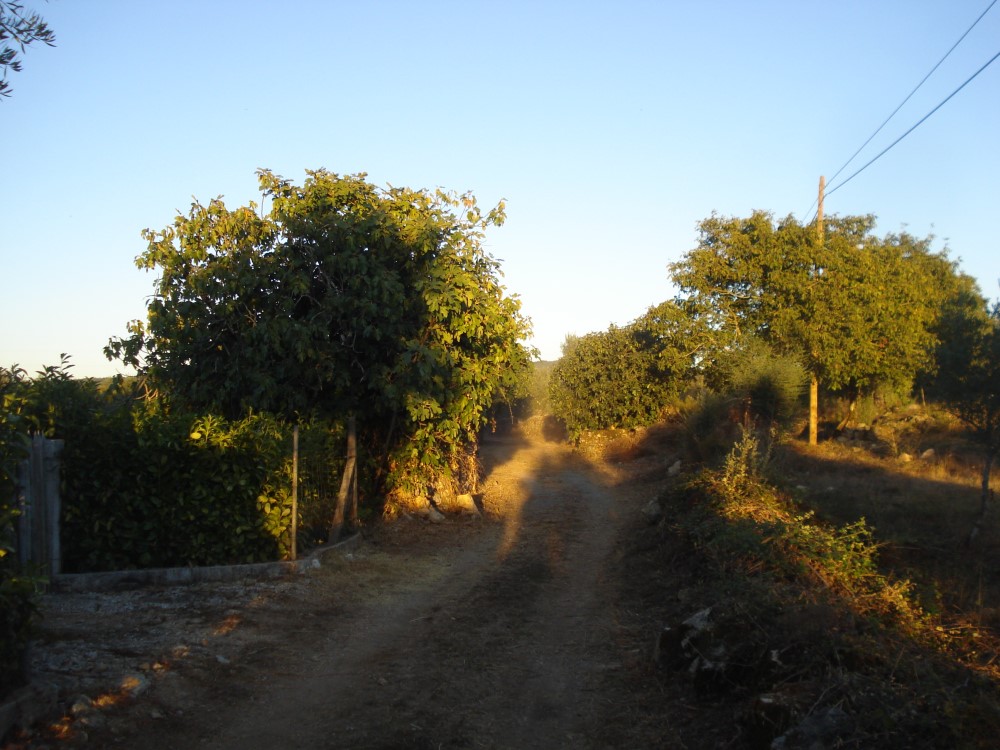 estradaantiga10