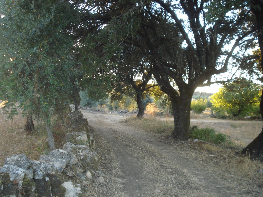 estradaantiga8