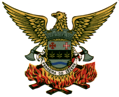 logo ahbvfzz