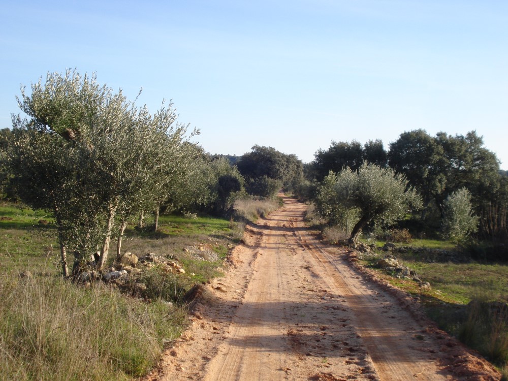 csnavecasta14