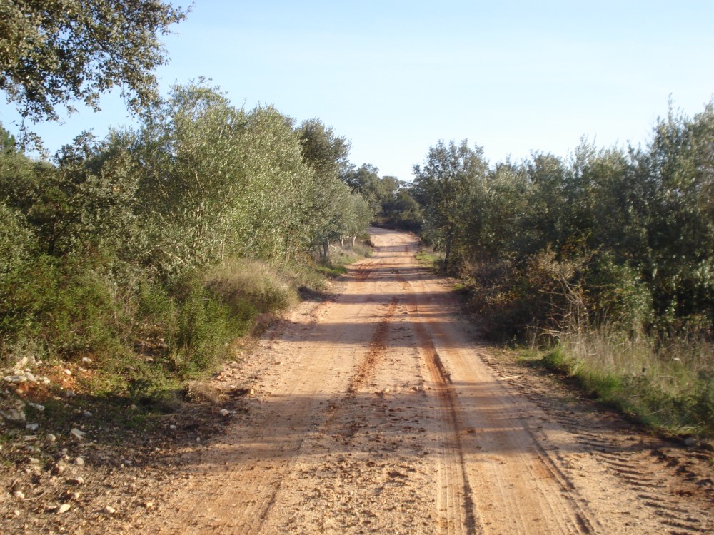 csnavecasta15