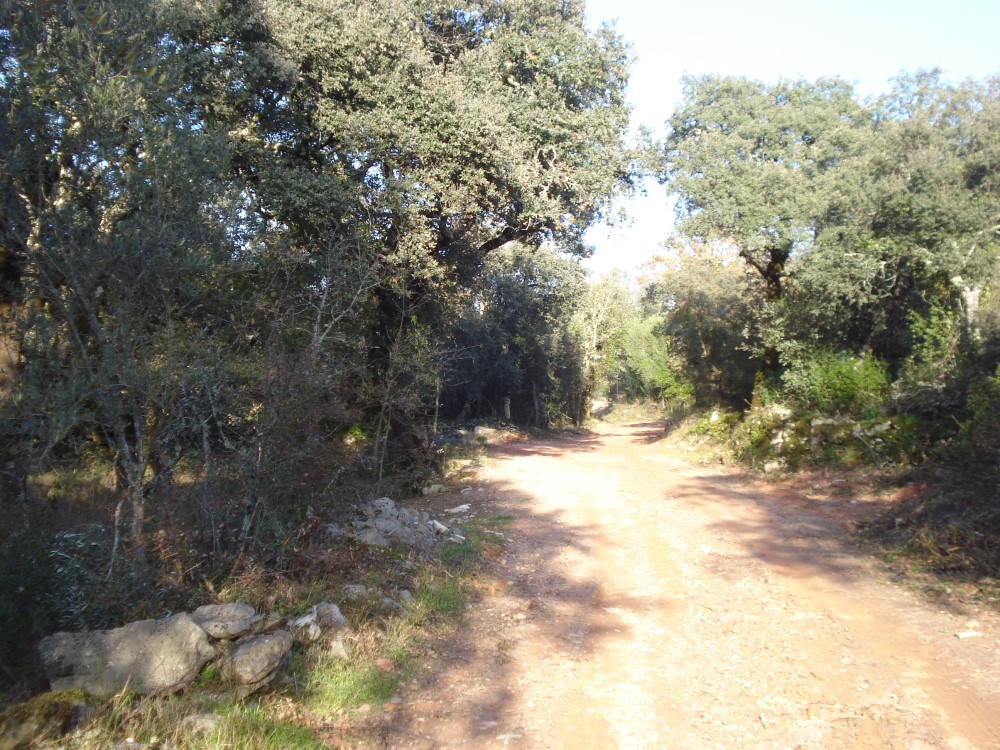 csnavecasta28