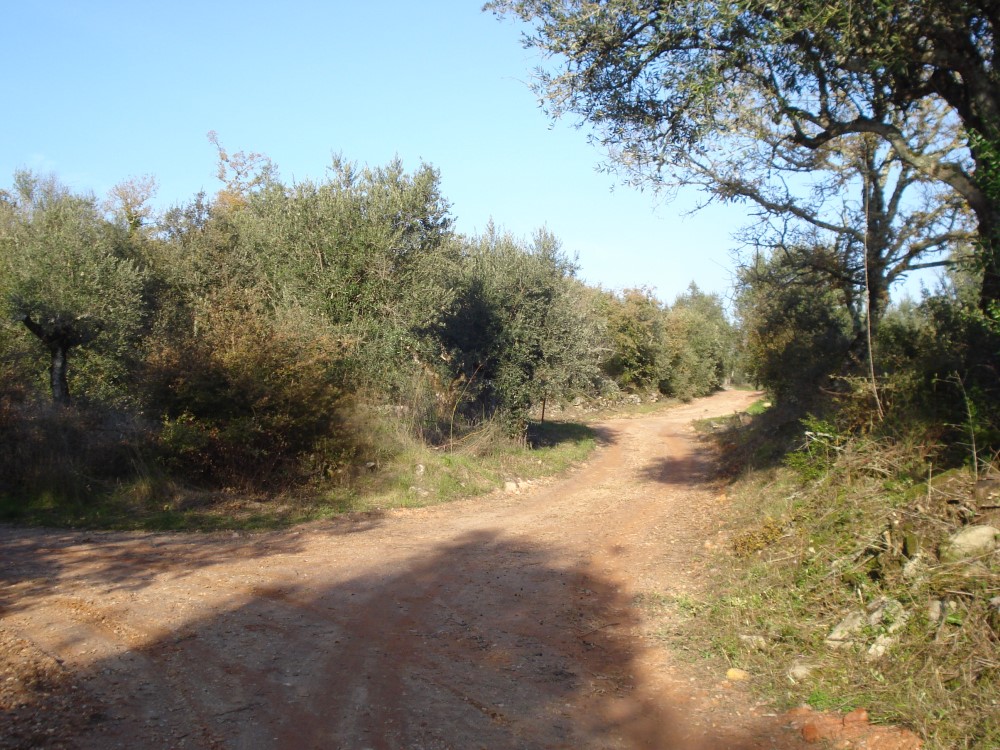 csnavecasta29